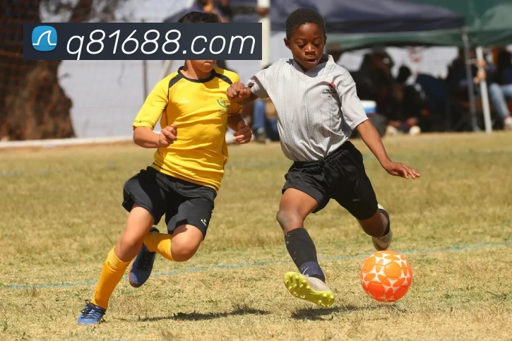 Q8娱乐城官网服务体系